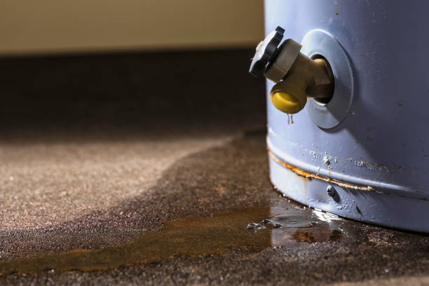 Best Ceiling water damage repair  in George, IA