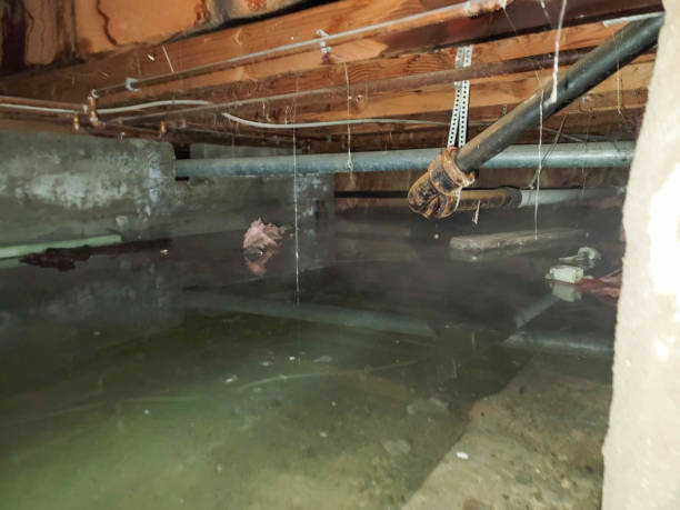 Best Fire Damage Restoration  in George, IA