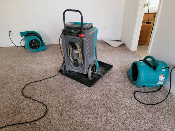 Best Sewage cleanup and water damage restoration  in George, IA