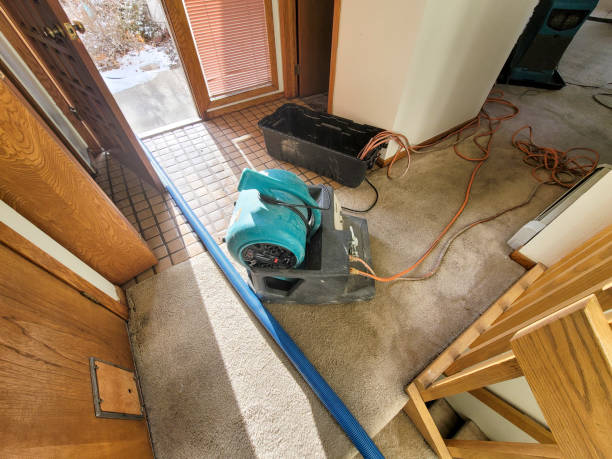 Best 24-hour water damage restoration  in George, IA