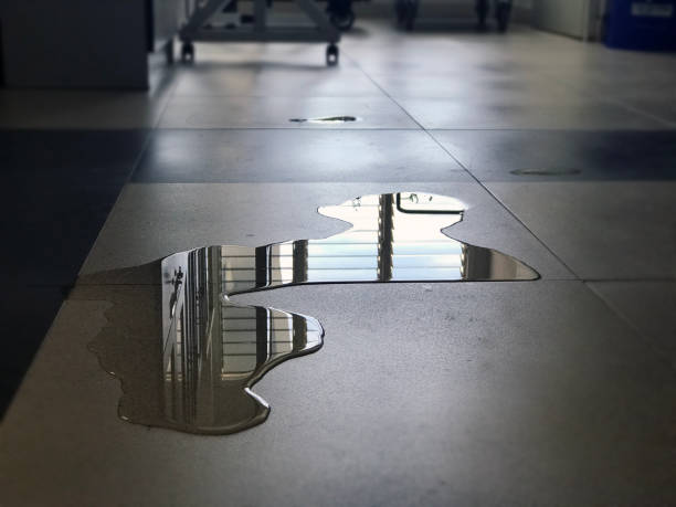 Best Water damage restoration near me  in George, IA