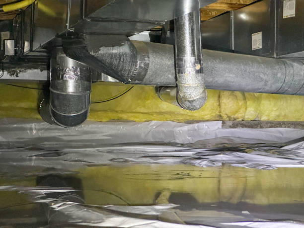 Best Flood damage cleanup  in George, IA